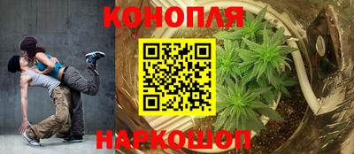 гидропоника Апшеронск