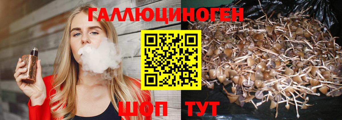 Березники  Псилоцибиновые грибы Magic Shrooms  Вход с VPN  Псилоцибиновые грибы Magic Shrooms 