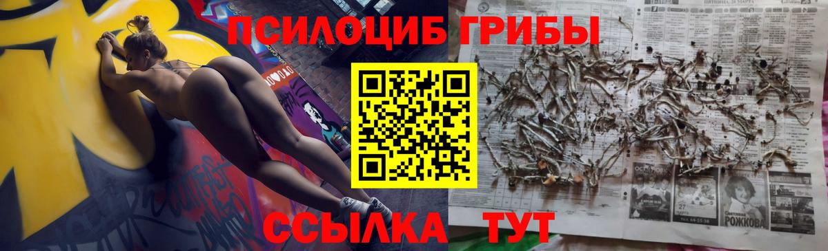Галлюциногенные грибы Cubensis Березники